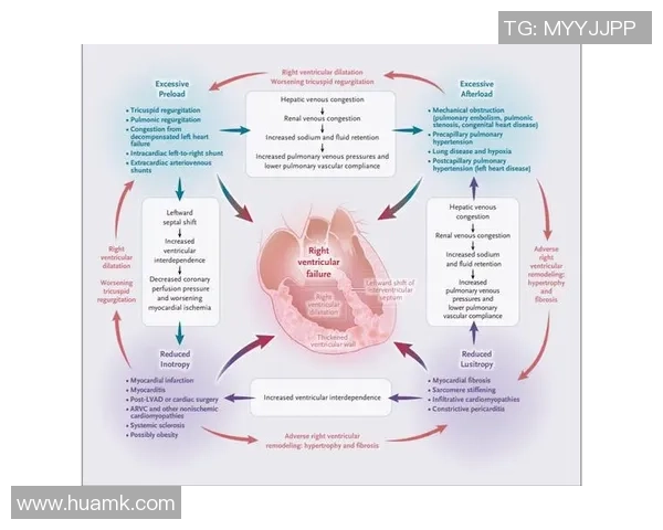 武汉排球队技术解析：从战术布局到球员技能的全面探讨与提升